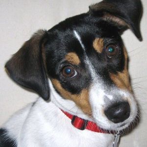 Meet your Posher, Margaret